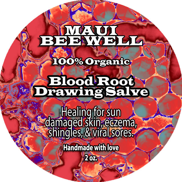 Rullesten Memo talsmand Blood Root Drawing Salve | Organic Blood Root Salve | Healing Blood Root